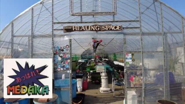 あっぱれ！MEDAKA CLUB