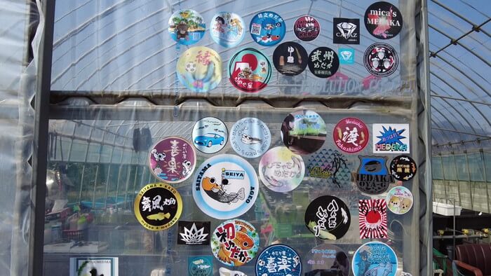 あっぱれ!MEDAKA CLUB