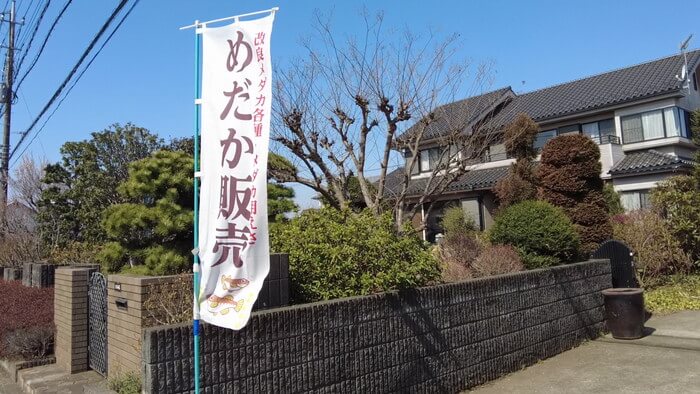 あっぱれ!MEDAKA CLUB