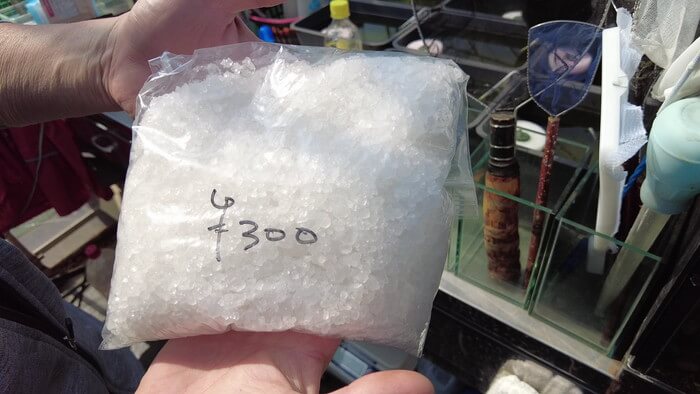 あっぱれ！MEDAKA CLUB