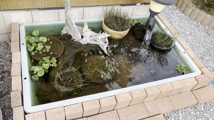 あっぱれ!MEDAKA CLUB