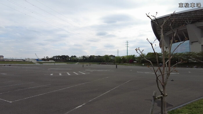 さいたまメダカフェス2022