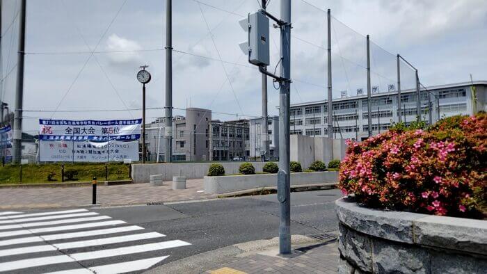 横須賀鬼めだか