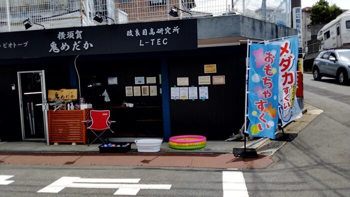 横須賀鬼めだか