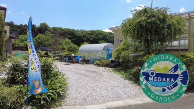 めだかガーデン