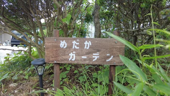 めだかガーデン