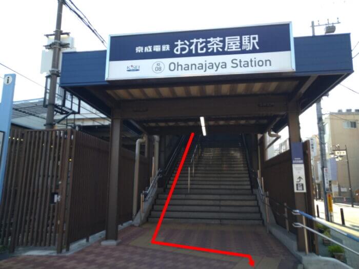 白鳥めだか 東京都葛飾区白鳥