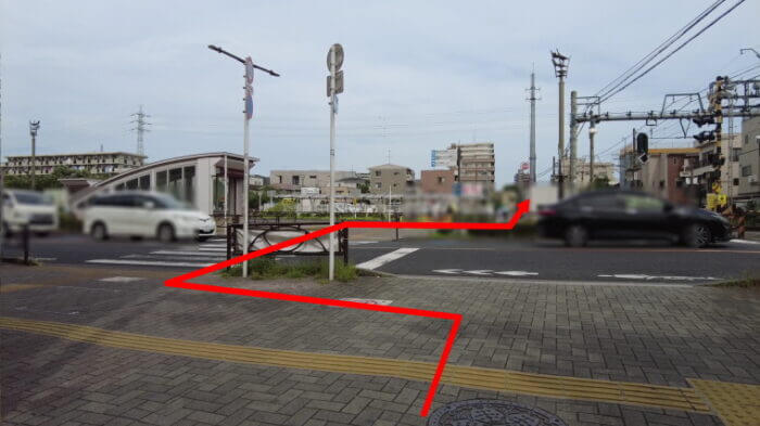 白鳥めだか 東京都葛飾区白鳥