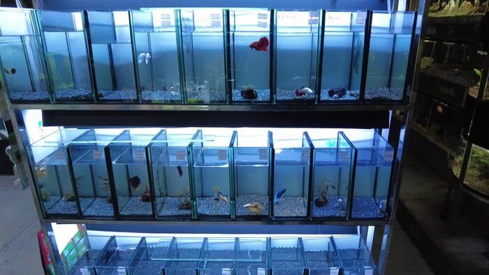 東京ペット貿易株式会社