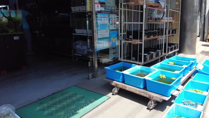 東京ペット貿易株式会社