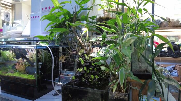 東京ペット貿易株式会社