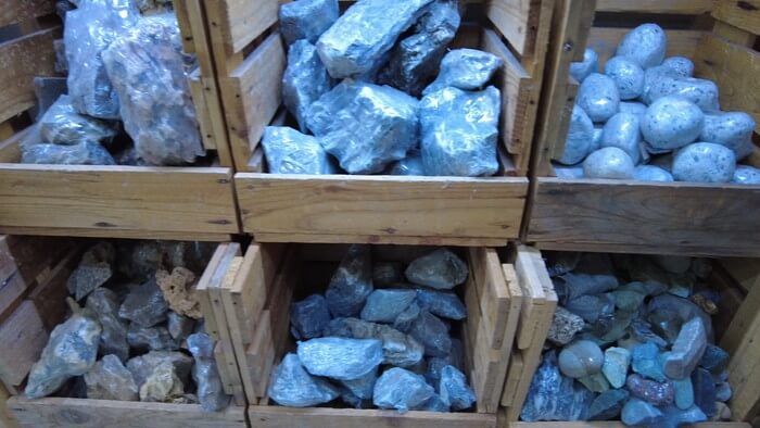 東京ペット貿易株式会社