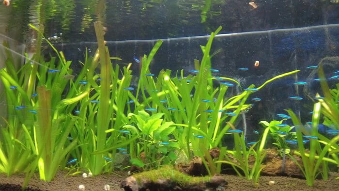 東京ペット貿易株式会社