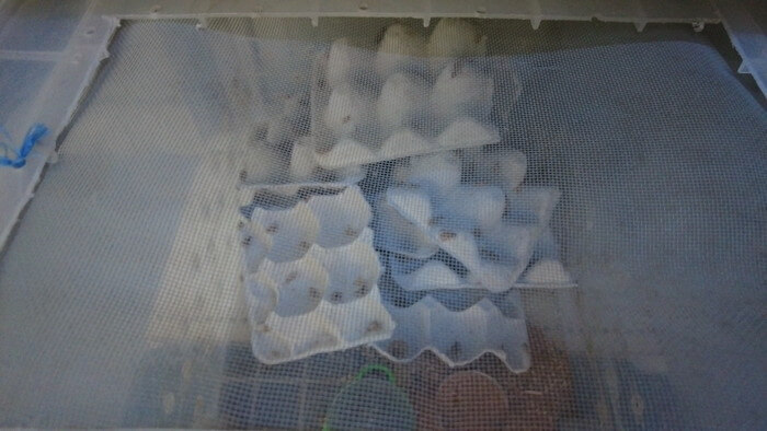 東京ペット貿易株式会社