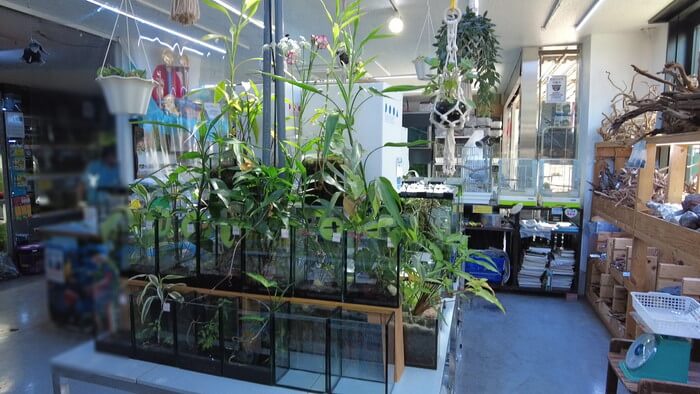 東京ペット貿易株式会社