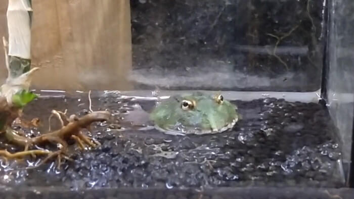 東京ペット貿易株式会社