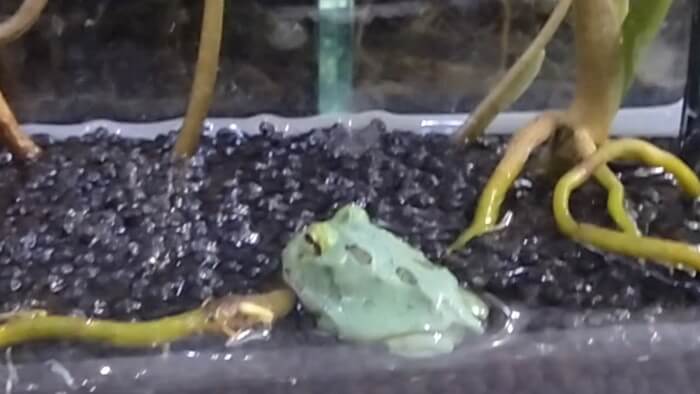 東京ペット貿易株式会社