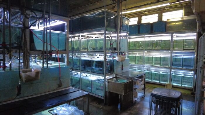 東京ペット貿易株式会社