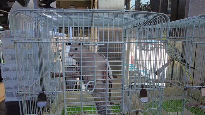 東京ペット貿易株式会社