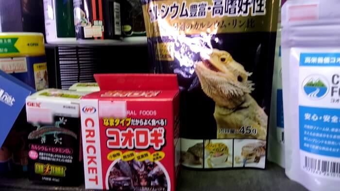 よこはま金魚本店別館