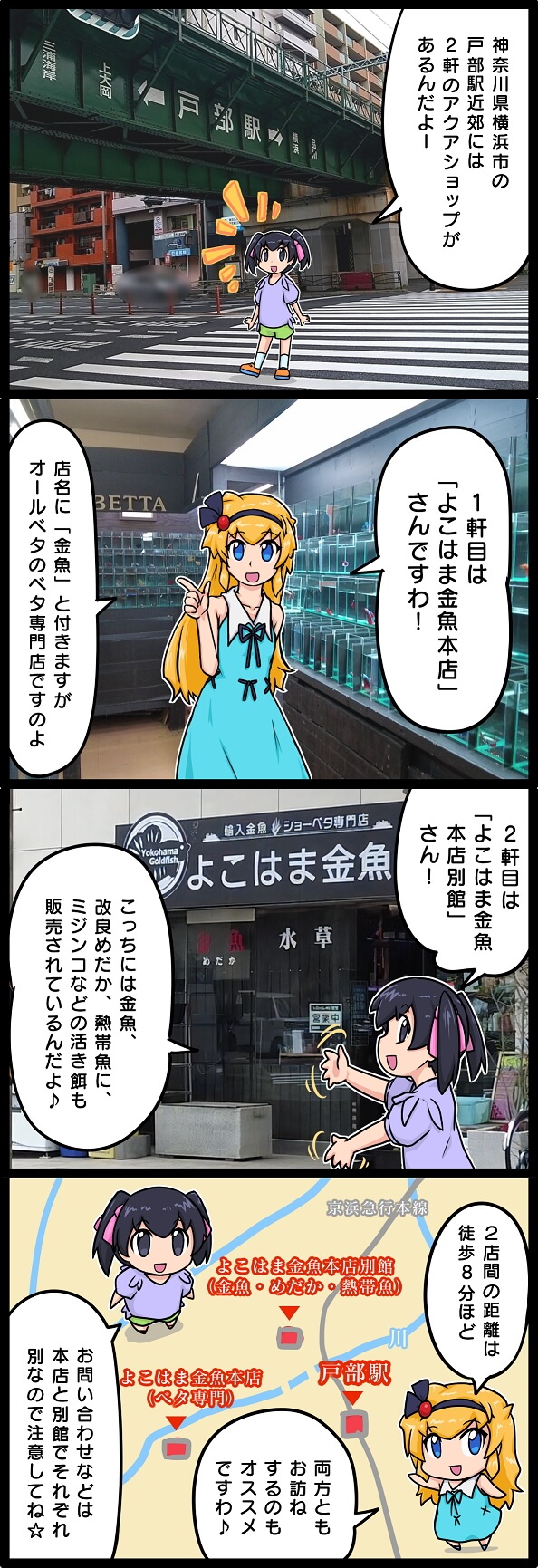 よこはま金魚 マップ