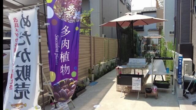 小さな坂の上のめだか家.358