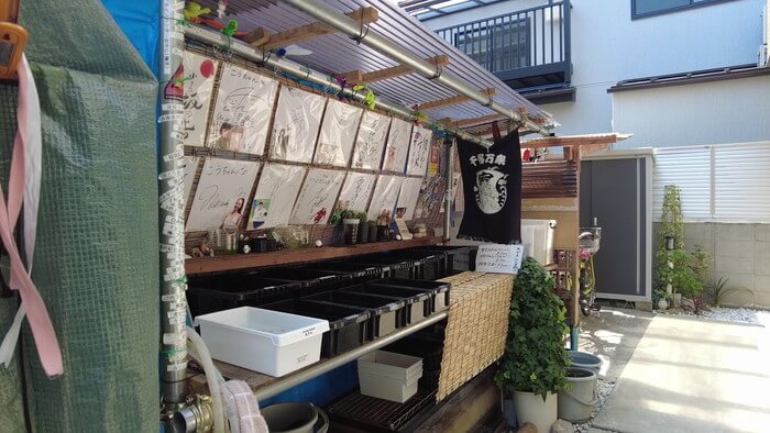 小さな坂の上のめだか家.358