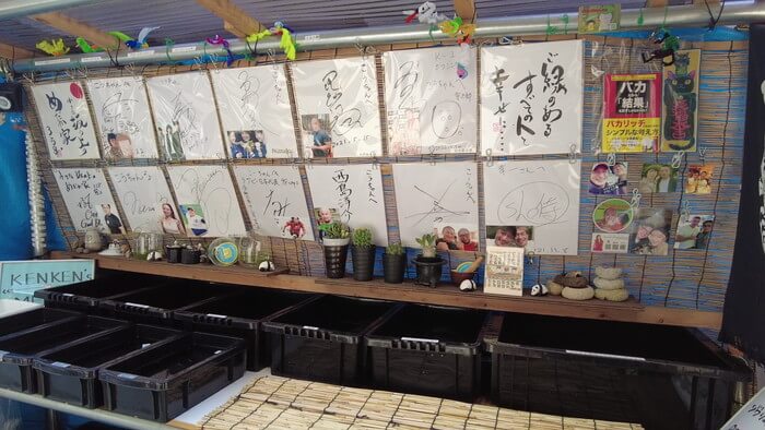 小さな坂の上のめだか家.358