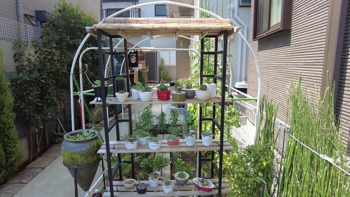 小さな坂の上のめだか家.358