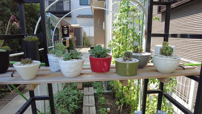 小さな坂の上のめだか家.358