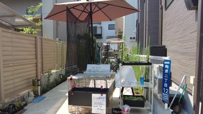 小さな坂の上のめだか家.358