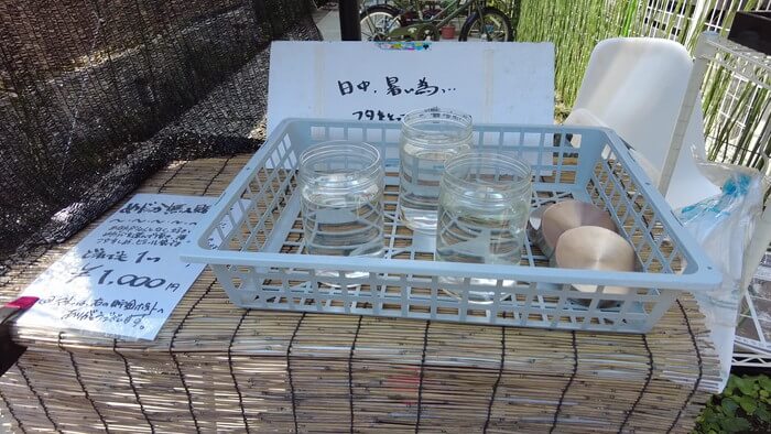 小さな坂の上のめだか家.358