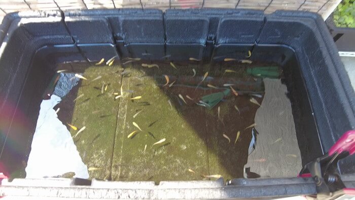 小さな坂の上のめだか家.358