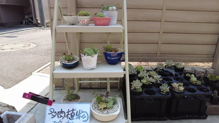 小さな坂の上のめだか家.358