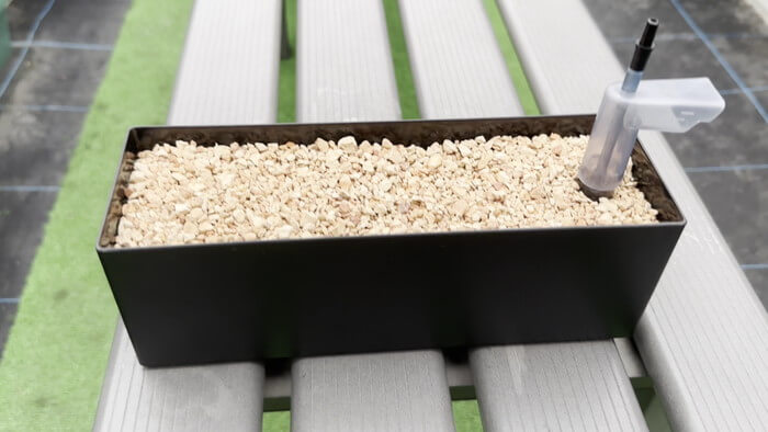 めだかや またあした