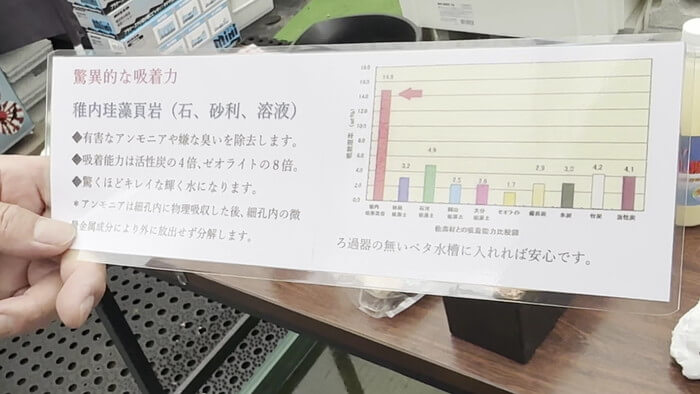 めだかや またあした