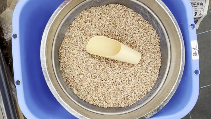 めだかや またあした