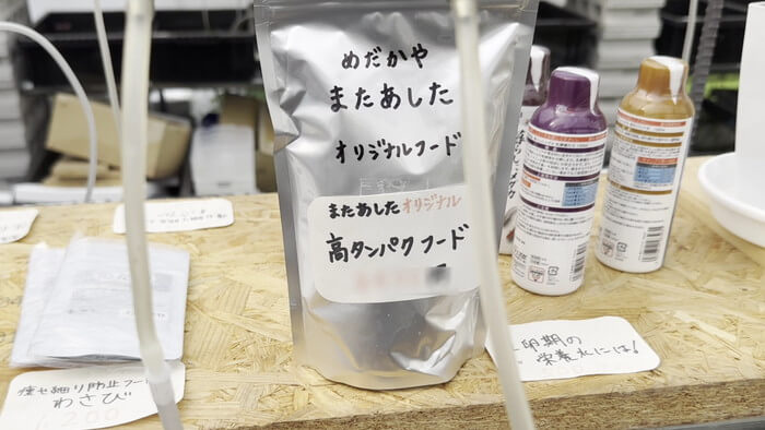 めだかや またあした