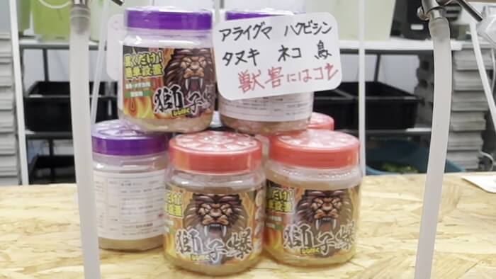 めだかや またあした