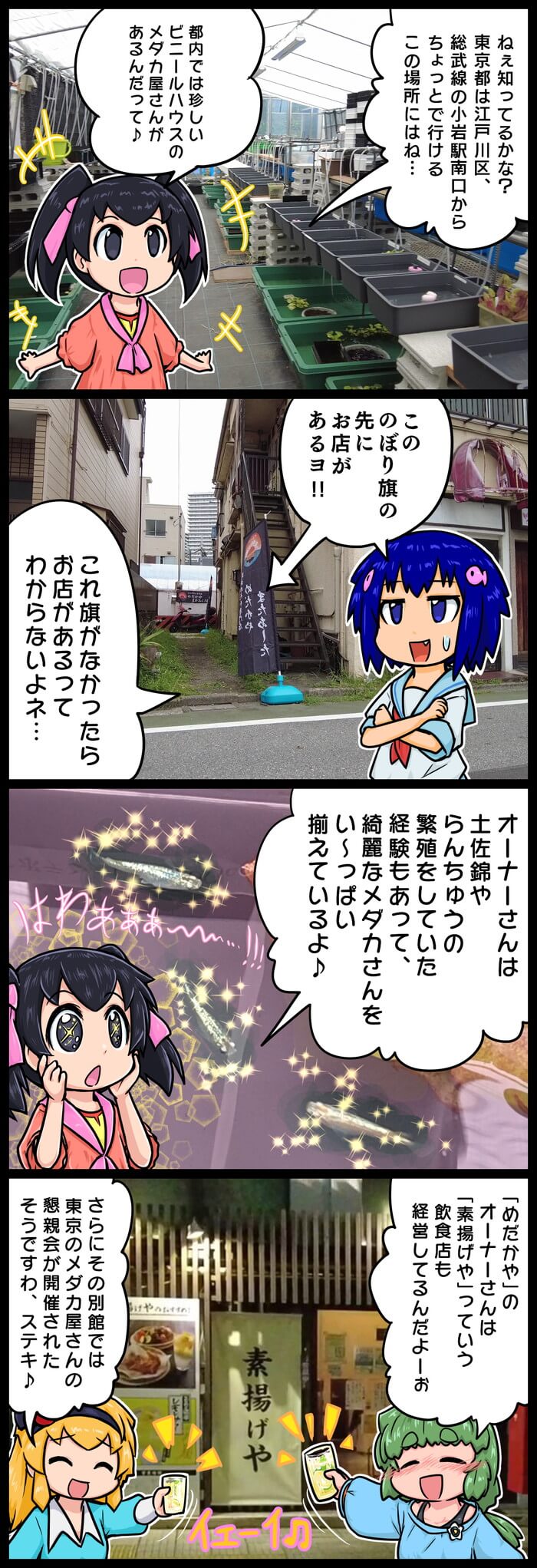 めだかやまたあした4コマ