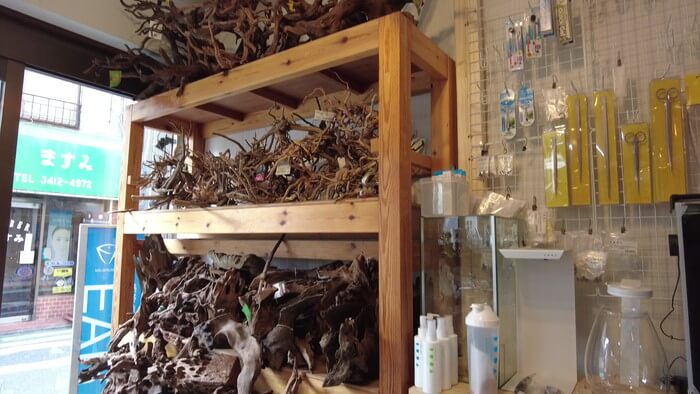 アクアリウムショップEARTH