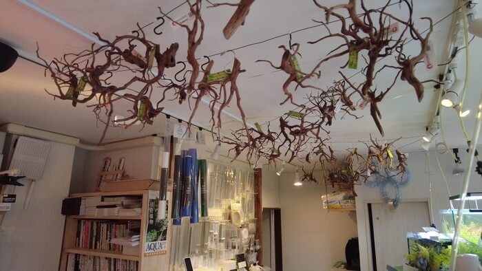 アクアリウムショップEARTH