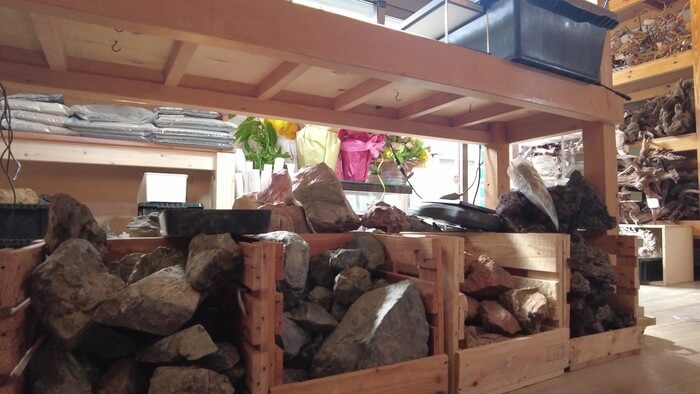 アクアリウムショップEARTH