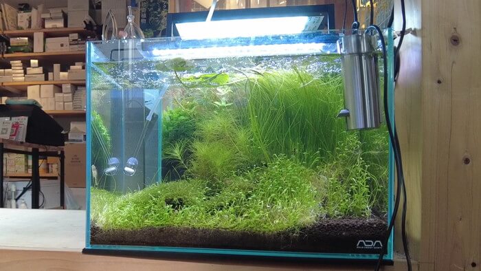 アクアリウムショップEARTH