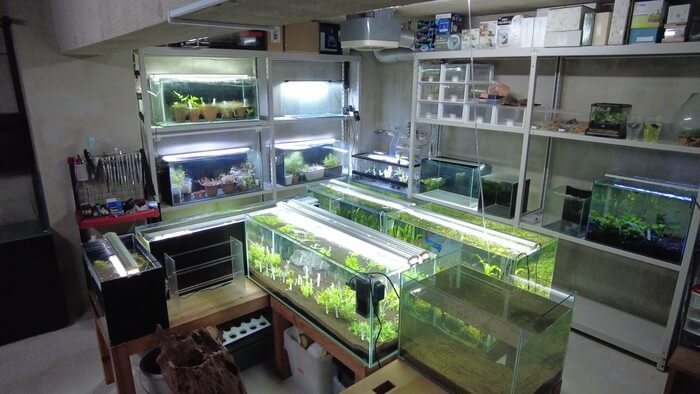 アクアリウムショップEARTH