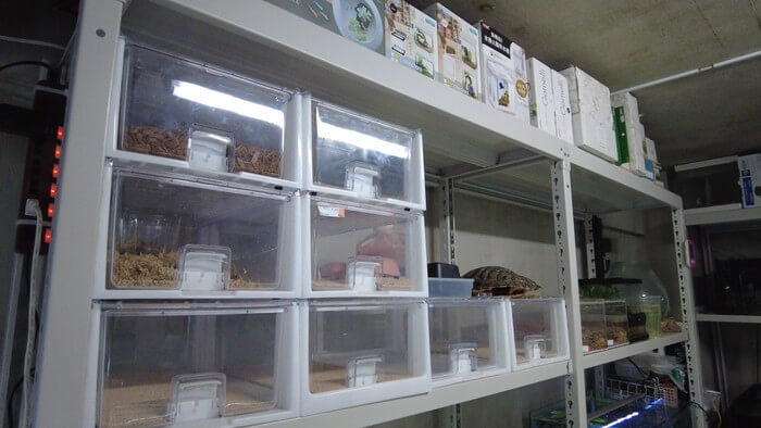 アクアリウムショップEARTH