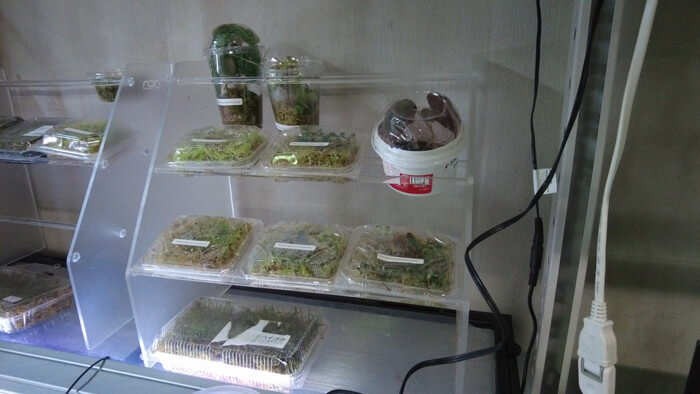 アクアリウムショップEARTH