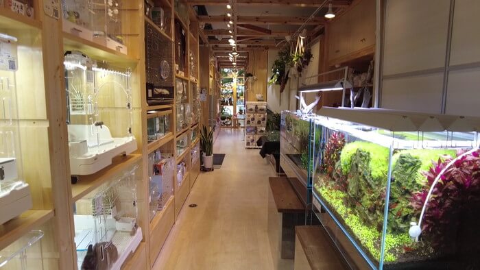 charm小石川店(チャーム小石川店)