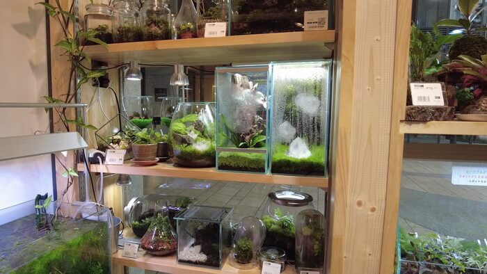 charm小石川店(チャーム小石川店)