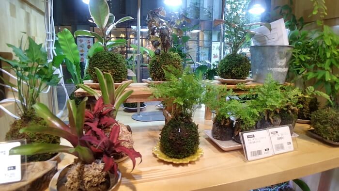 charm小石川店(チャーム小石川店)